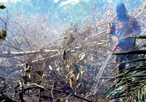 TR04_08032015_HUTAN_TERBAKAR