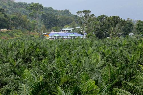 TERENGGANU_FGV