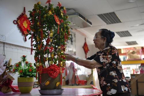 WARGA EMAS 100 TAHUN RAI TAHUN BARU CINA PKP