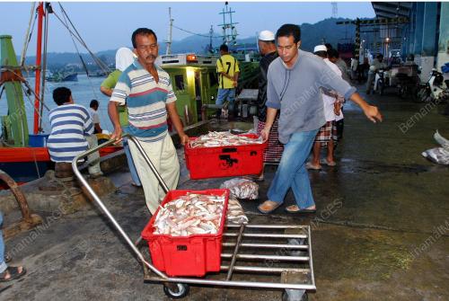 PEMBORONG IKAN