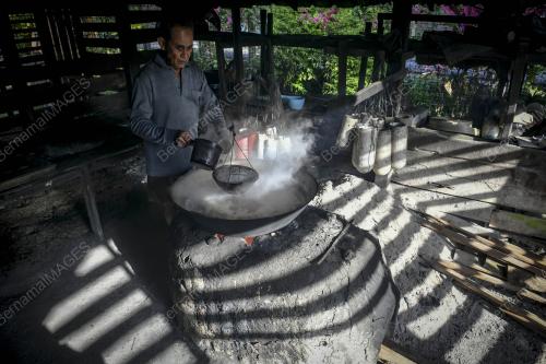 PEMBUATAN MANISAN