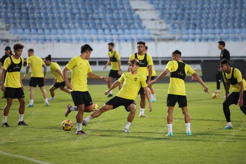 HARIMAU MALAYA