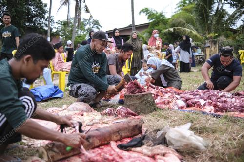 IBADAH KORBAN