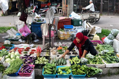 TINJAUAN_SAYUR