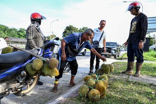 DURIAN KAMPUNG TERENGGANU