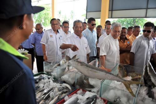 TR04_12062014_NELAYAN