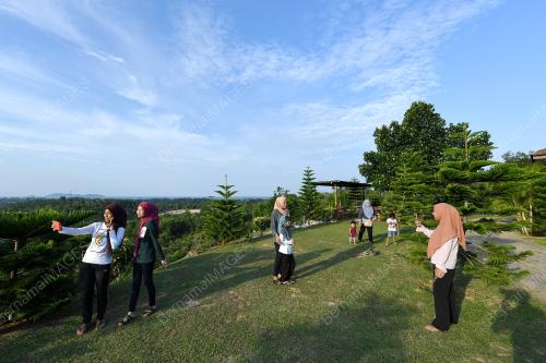 TR04_12072019_PINE_HILL_BN201808055000
