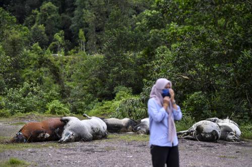 11 EKOR LEMBU MATI