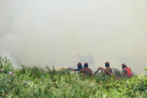TR04_13032019_KEBAKARAN