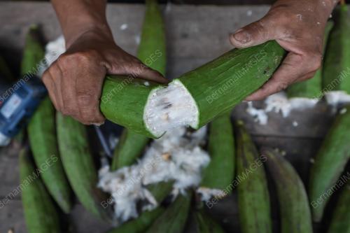 PELITA KEKABU