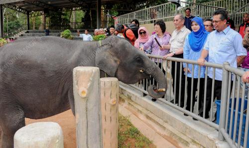 TR04_14022016_MOU_GAJAH