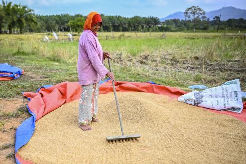PROSES MENAMPI PADI