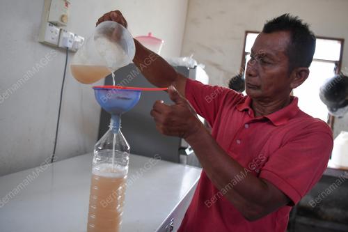 AIR NIRA KELAPA