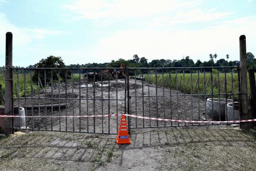 KERBAU 'MOWGLI MALAYSIA' MATI