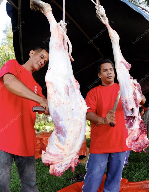 TR04_15102013_SEMBELIH_QURBAN