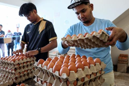 TELUR AYAM