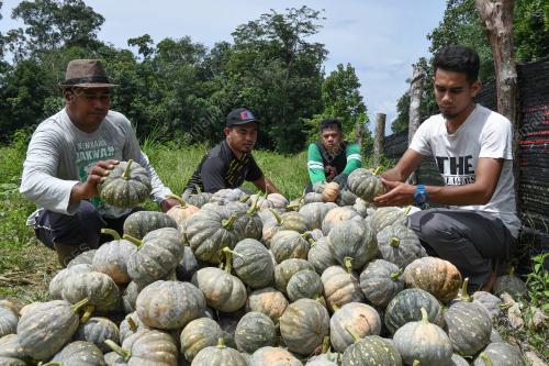 USAHAWAN TANI