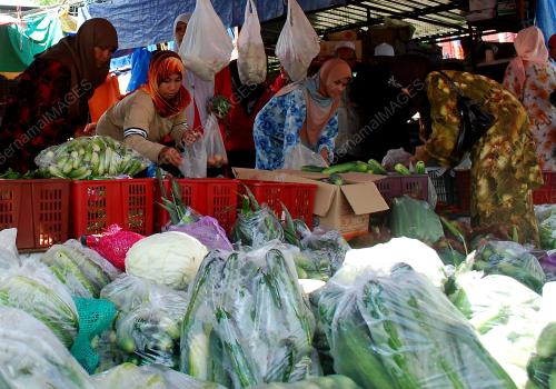 PERSIAPAN AIDILADHA