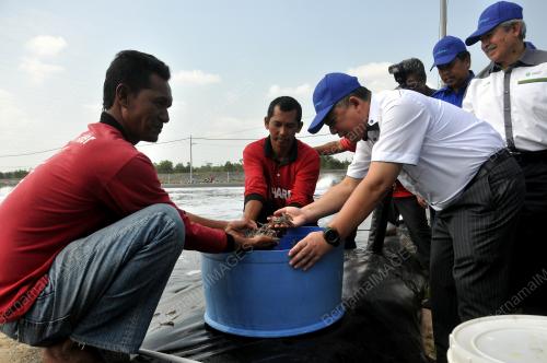 TR04_18022018_MB_UDANG