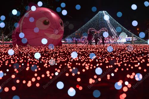 LUNA LIGHT WONDERLAND 2024