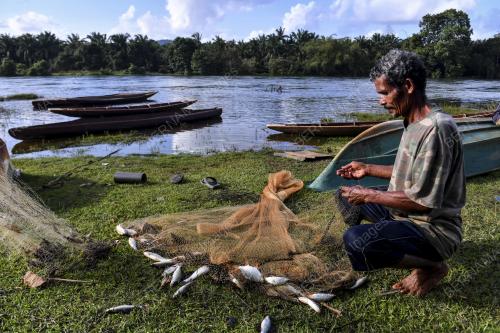 MENJALA IKAN