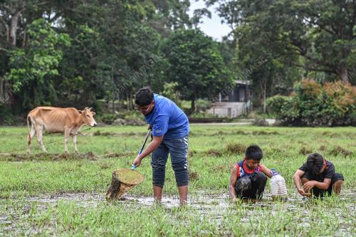 TINJAUAN CUTI HUJUNG MINGGU