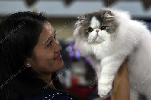 TR04_20072019_KUCING_BN201907175469