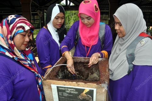 TR04_20092017_USAHAWAN_KELULUT