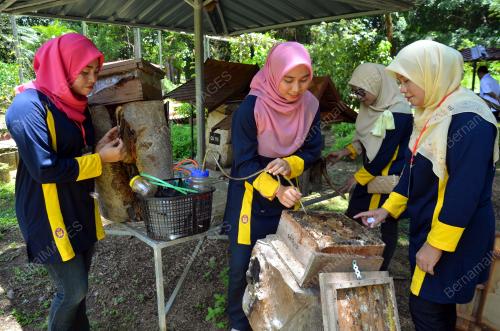TR04_20092018_KELULUT_BN201809198416