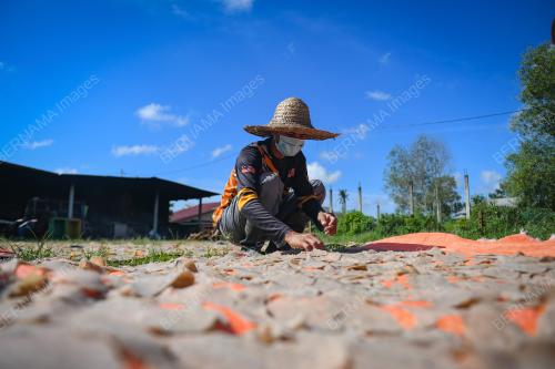 CUACA PANAS TERENGGANU