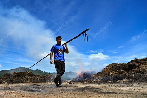 PEMPROSESAN SABUT KELAPA
