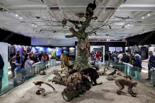 PAMERAN ALAM HAIWAN