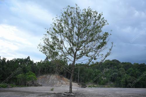 HARI BUMI SEDUNIA 2021