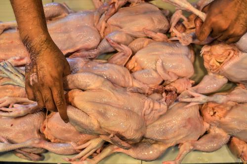BEKALAN AYAM KURANG