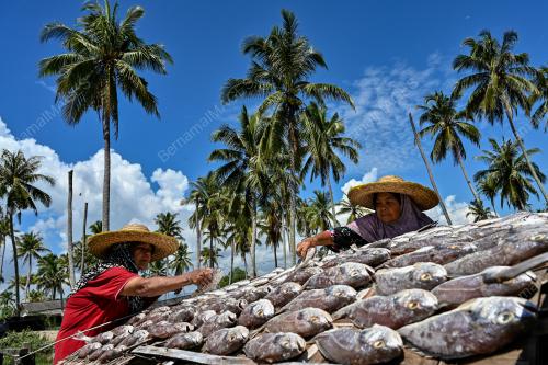 IKAN BEKOK