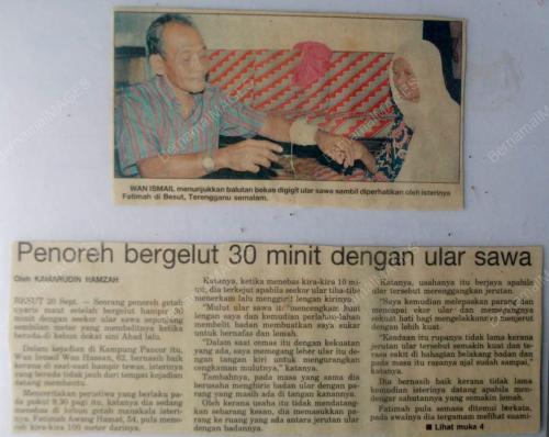 WAN ISMAIL WAN HASSAN