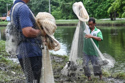 AKTIVITI MENJALA IKAN DARAT