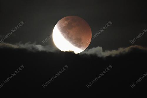SUPER FLOWER BLOOD MOON