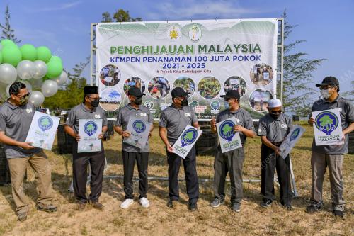PENANAMAN POKOK