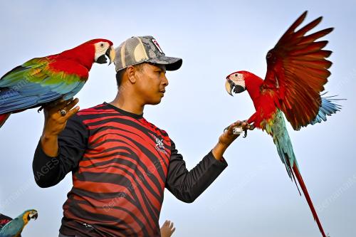 TERENGGANU FREE FLY GATHERING 2023