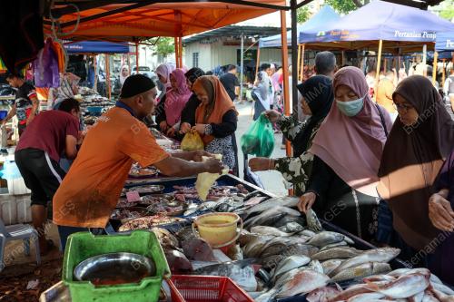 JUALAN AGRO MADANI