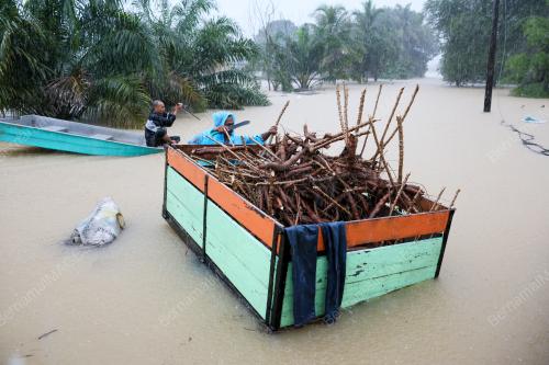 REZEKI MUSIM TENGKUJUH