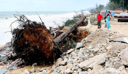 TR04_28122011_HAKIS_PANTAI