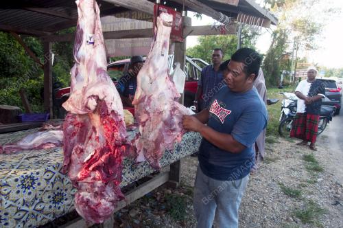 MUHAMMAD IZZAT ZAIDI
