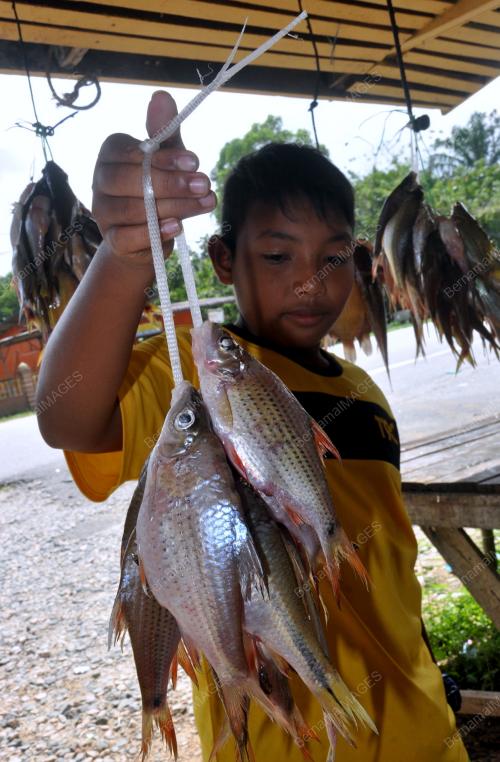 TR05_01012015_REZEKI_BANJIR