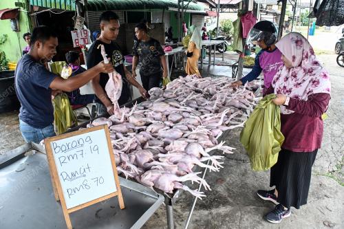 PENAMATAN SUBSIDI AYAM