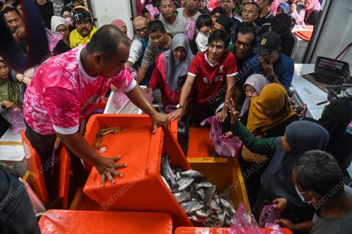JUALAN MURAH IKAN SIAKAP