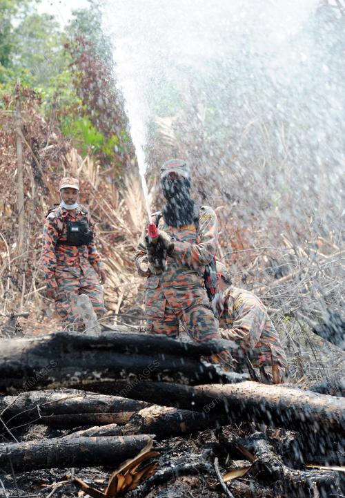TR05_03032014_HUTAN_TERBAKAR