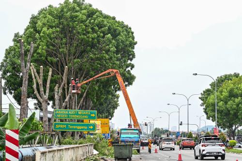 PEMANGKASAN POKOK SECARA BERKALA