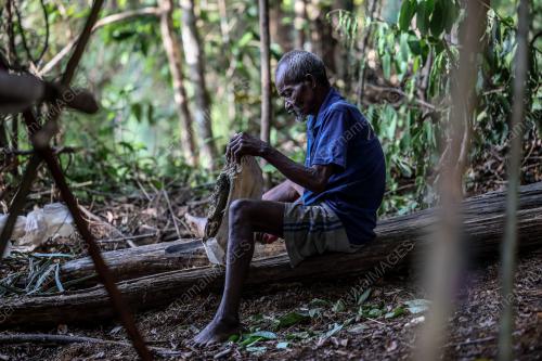 ORANG ASLI SEMAQ BERI